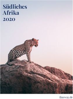 Südliches Afrika 2020 - fineway.de