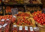 Maremma: Die wilde Küste der Toskana - Wandern und Wein in Italien