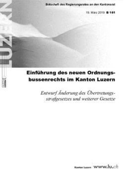 Einf&uuml;hrung des neuen Ordnungs-bussenrechts im Kanton Luzern - Entwurf &Auml;nderung des &Uuml;bertretungs-strafgesetzes und weiterer Gesetze