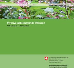 Invasive gebietsfremde Pflanzen - Fr&uuml;h erkennen - sofort handeln www.efbs.admin.ch