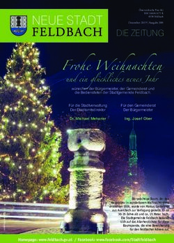 Frohe Weihnachten und ein gl&uuml;ckliches neues Jahr - Stadtgemeinde Feldbach