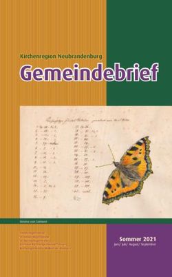 Gemeindebrief - Sommer 2021 - Kirchenregion Neubrandenburg