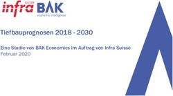 Tiefbauprognosen 2018 2030 - Eine Studie von BAK Economics im Auftrag von Infra Suisse Februar 2020