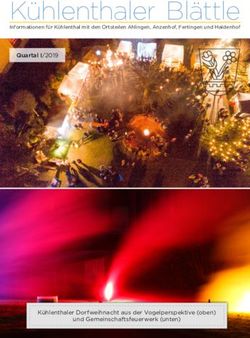 K&uuml;hlenthaler Bl&auml;ttle Quartal I/2019 - K&uuml;hlenthaler Dorfweihnacht aus der Vogelperspektive (oben) - Gemeinde K&uuml;hlenthal