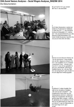 SVA-Social Venture Analyses - Sozial Wagnis Analysen_RHIZOM 2014 Die Dokumentation