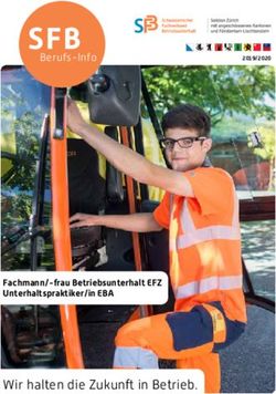 SFB - Wir halten die Zukunft in Betrieb - Berufs-Info - Schweizerischer ...