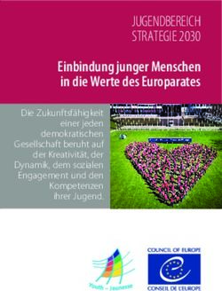 JUGENDBEREICH STRATEGIE 2030 - Einbindung junger Menschen in die Werte des Europarates