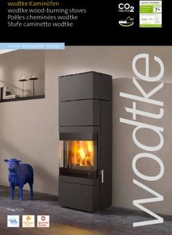 Wodtke Kamin&ouml;fen wodtke wood-burning stoves Po&ecirc;les-chemin&eacute;es wodtke Stufe caminetto wodtke - Vision Innovation Design