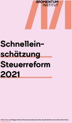 Schnellein sch&auml;tzung Steuerreform 2021 - Momentum Institut