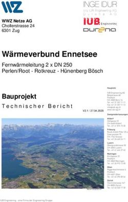 Wärmeverbund Ennetsee - WWZ Netze AG Chollerstrasse 24 6301 Zug - Bauprojekt
