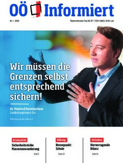 Wir m&uuml;ssen die Grenzen selbst entsprechend sichern! - FP&Ouml; O&Ouml;