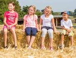 ERLEBNIS - PROGRAMME für Schulklassen und Kindergartengruppen 2019 / 2020 - Schloss Hof - Schönbrunn Group