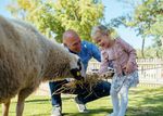 ERLEBNIS - PROGRAMME für Schulklassen und Kindergartengruppen 2019 / 2020 - Schloss Hof - Schönbrunn Group