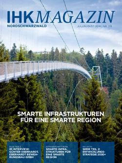 SMARTE INFRASTRUKTUREN F&Uuml;R EINE SMARTE REGION - Wildline