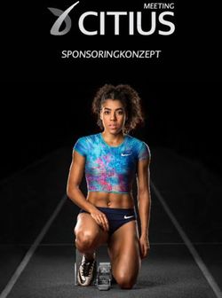 SPONSORINGKONZEPT - Webflow