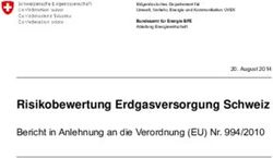 Risikobewertung Erdgasversorgung Schweiz - Bericht in Anlehnung an die Verordnung (EU) Nr. 994/2010