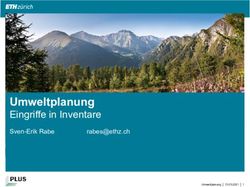 Umweltplanung Eingriffe in Inventare Sven-Erik Rabe