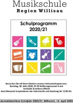 Schulprogramm 2020/21 - Musikschule Region Willisau