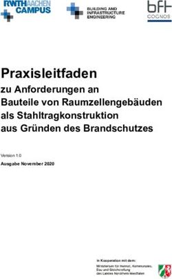 Praxisleitfaden zu Anforderungen an Bauteile von Raumzellengebäuden als Stahltragkonstruktion aus Gründen des Brandschutzes - CBI Center Building ...