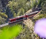 Matterhorn Gotthard Bahn Gesch&auml;ftsbericht 2017