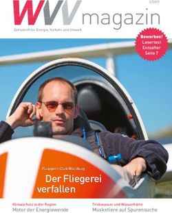 Magazin - Der Fliegerei - WVV