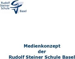 Medienkonzept der Rudolf Steiner Schule Basel