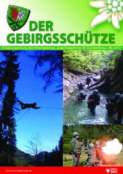 Truppenzeitung des Hochgebirgs-J&auml;gerbataillons 26 Spittal/Drau - Nr. 2/17 - www.bundesheer.at