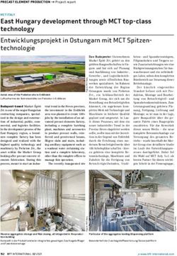 East Hungary development through MCT top-class technology Entwicklungsprojekt in Ostungarn mit MCT Spitzen-technologie