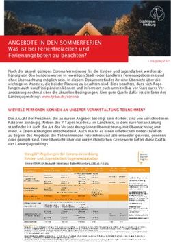 ANGEBOTE IN DEN SOMMERFERIEN - WAS IST BEI FERIENFREIZEITEN UND FERIENANGEBOTEN ZU BEACHTEN? - KSJ-FREIBURG