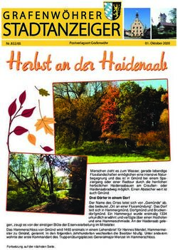 Her bst an der Haidenaab - STADTANZEIGER - Grafenw&ouml;hrer Stadt-Anzeiger