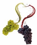 Wein- und Obstbau Empfehlungen - Wir lieben Obst und Wein