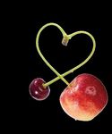 Wein- und Obstbau Empfehlungen - Wir lieben Obst und Wein