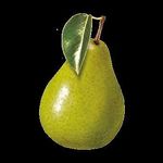 Wein- und Obstbau Empfehlungen - Wir lieben Obst und Wein