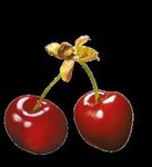 Wein- und Obstbau Empfehlungen - Wir lieben Obst und Wein