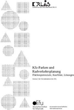 Kfz-Parken und Radverkehrsplanung - Fl&auml;chenpotenziale, Konflikte, L&ouml;sungen Seminar 2 der Fahrradakademie des Difu - Nationaler ...
