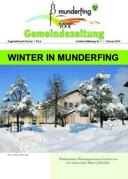 WINTER IN MUNDERFING - Wundersch&ouml;ne Winterimpressionen beschert uns der schneereiche Winter 2018/2019 - Gemeinde Munderfing