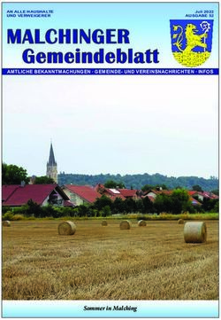 MALCHINGER Gemeindeblatt - Sommer in Malching - AMTLICHE BEKANNTMACHUNGEN GEMEINDE- UND VEREINSNACHRICHTEN INFOS