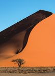 Sternenpracht über der Wüste - 17-tägige Studienreise nach Namibia 23. Oktober bis 8. November 2021