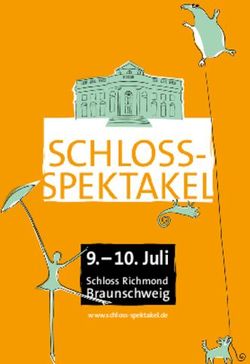 9.- 10. Juli Braunschweig Schloss Richmond - Schloss-Spektakel