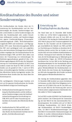 Kreditaufnahme des Bundes und seiner Sondervermögen - Bundesfinanzministerium