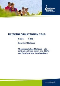 REISEINFORMATIONEN 2019 - Wikinger Reisen