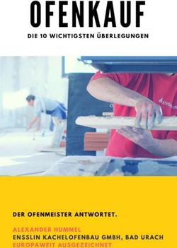 DIE 10 WICHTIGSTEN &Uuml;BERLEGUNGEN - DER OFENMEISTER ANTWORTET. ALEXANDER HUMMEL ENSSLIN KACHELOFENBAU GMBH, BAD URACH EUROPAWEIT AUSGEZEICHNET