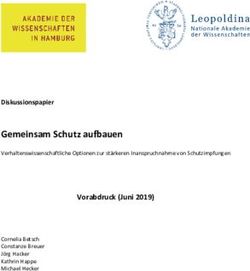 Gemeinsam Schutz aufbauen - Vorabdruck (Juni 2019)