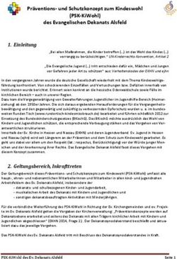 PR&Auml;VENTIONS- UND SCHUTZKONZEPT ZUM KINDESWOHL (PSK-KIWOHL) DES EVANGELISCHEN DEKANATS ALSFELD