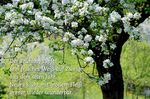 Nathan Philipp - April - Mai 2018 - Nathan-S&ouml;derblom
