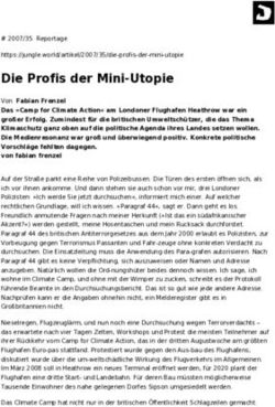 Die Profis der Mini-Utopie - Jungle World