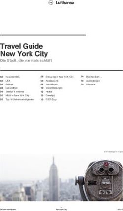 Travel Guide New York City - Die Stadt, die niemals schl&auml;ft