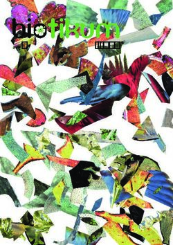 KREATIVITÄT - FRÜHLINGSSEMESTER 2018 - VEBIS