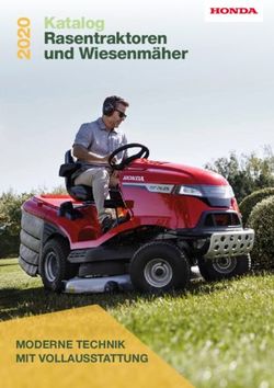 Katalog Rasentraktoren und Wiesenm&auml;her - MODERNE TECHNIK MIT VOLLAUSSTATTUNG - ALFF ...