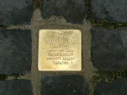 Foto des verlegten Stolpersteins mit der Inschrift: HIER WOHNTE SALOMON HERZ JG. 1869 DEPORTIERT 1942 THERESIENSTADT ERMORDET 1942 IN TREBLINKA